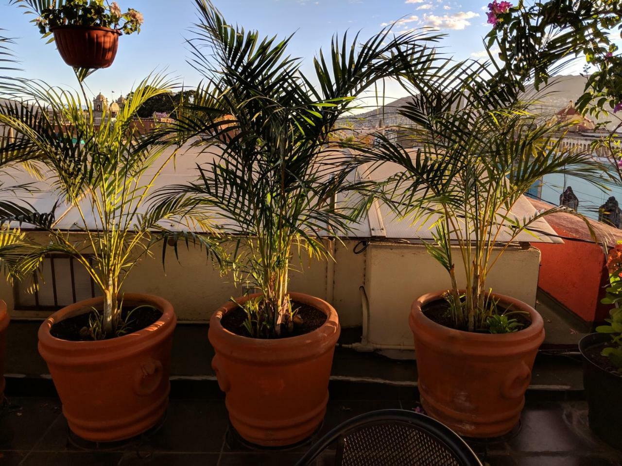 Hostal De Las Americas Oaxaca Dış mekan fotoğraf